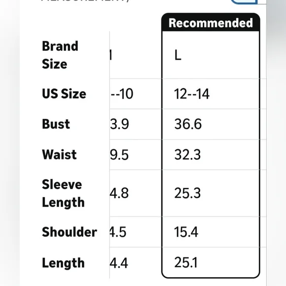 Sheer Lace Long Sleeve Top - Green. W-51 - Picture 3 of 3